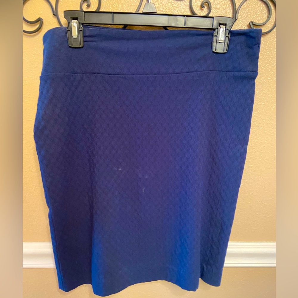 Ladies Skirt